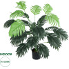 GloboStar Artificial Garden Caladium ������������ ���� ���������� �80cm - (20915)