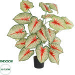 GloboStar Artificial Garden Caladium ������������ ���� ���������� �80cm - (20921)