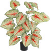 GloboStar Artificial Garden Caladium ������������ ���� ���������� �80cm - (20921)