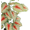 GloboStar Artificial Garden Caladium ������������ ���� ���������� �80cm - (20921)