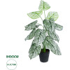 GloboStar Artificial Garden Caladium ������������ ���� ������� �75cm - (20908)