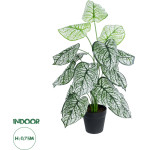 GloboStar Artificial Garden Caladium ������������ ���� ������� �75cm - (20908)