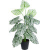 GloboStar Artificial Garden Caladium ������������ ���� ������� �75cm - (20908)