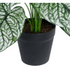 GloboStar Artificial Garden Caladium ������������ ���� ������� �75cm - (20908)