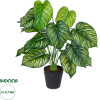 GloboStar Artificial Garden Calathea ������������ ���� ������� �75cm - (20912)