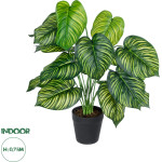 GloboStar Artificial Garden Calathea ������������ ���� ������� �75cm - (20912)
