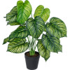 GloboStar Artificial Garden Calathea ������������ ���� ������� �75cm - (20912)