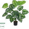 GloboStar Artificial Garden Calathea ������������ ���� ������� �80cm - (20922)
