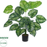 GloboStar Artificial Garden Calathea ������������ ���� ������� �80cm - (20922)