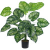 GloboStar Artificial Garden Calathea ������������ ���� ������� �80cm - (20922)