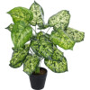 GloboStar Artificial Garden Dieffenbachia ������������ ���� �75cm - (20914)
