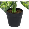 GloboStar Artificial Garden Dieffenbachia ������������ ���� �75cm - (20914)