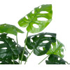 GloboStar Artificial Garden Monstera ������������ ���� �������� �75cm - (20909)