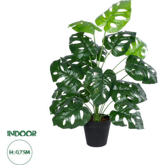 GloboStar Artificial Garden Monstera ������������ ���� �������� �75cm - (20909)
