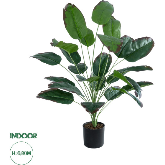 GloboStar Artificial Garden Old Banana ������������ ���� ����� �������� �80cm - (20917)