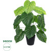 GloboStar Artificial Garden Philodendron ������������ ���� ����������� �75cm - (20910)
