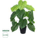 GloboStar Artificial Garden Philodendron ������������ ���� ����������� �75cm - (20910)