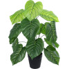 GloboStar Artificial Garden Philodendron ������������ ���� ����������� �75cm - (20910)