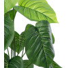 GloboStar Artificial Garden Philodendron ������������ ���� ����������� �75cm - (20910)