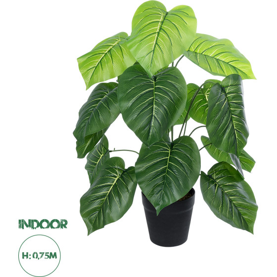GloboStar Artificial Garden Philodendron ������������ ���� ����������� �75cm - (20910)