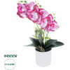 GloboStar Artificial Garden Pink + Fuchsia Orchid ������������ ���� ��� - ������ ������� �45cm - (21079)
