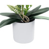 GloboStar Artificial Garden Pink + Fuchsia Orchid ������������ ���� ��� - ������ ������� �45cm - (21079)