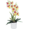 GloboStar Artificial Garden White - Fuchsia Orchid ������������ ���� ����� - ������ ������� �45cm - (21078)
