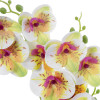GloboStar Artificial Garden White - Fuchsia Orchid ������������ ���� ����� - ������ ������� �45cm - (21078)