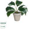 GloboStar Artificial Garden White Hosta ������������ ���� ����� ����� �40cm - (20900)