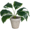 GloboStar Artificial Garden White Hosta ������������ ���� ����� ����� �40cm - (20900)