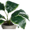 GloboStar Artificial Garden White Hosta ������������ ���� ����� ����� �40cm - (20900)