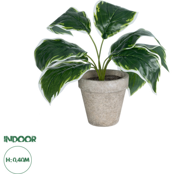 GloboStar Artificial Garden White Hosta ������������ ���� ����� ����� �40cm - (20900)