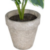 GloboStar Artificial Garden White Hosta ������������ ���� ����� ����� �40cm - (20900)