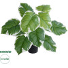 GloboStar Artificial Garden White Hosta ������������ ���� ����� ����� �55cm - (20931)