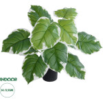 GloboStar Artificial Garden White Hosta ������������ ���� ����� ����� �55cm - (20931)
