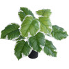 GloboStar Artificial Garden White Hosta ������������ ���� ����� ����� �55cm - (20931)