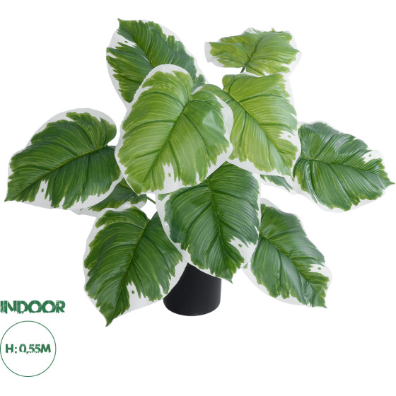 GloboStar Artificial Garden White Hosta ������������ ���� ����� ����� �55cm - (20931)