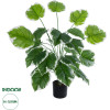 GloboStar Artificial Garden White Hosta ������������ ���� ����� ����� �80cm - (20920)