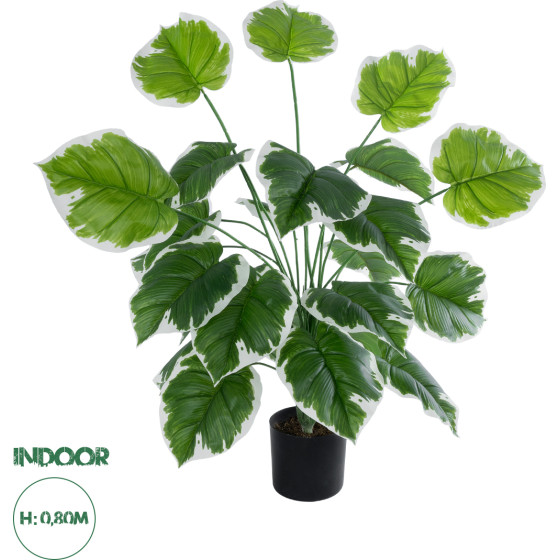 GloboStar Artificial Garden White Hosta ������������ ���� ����� ����� �80cm - (20920)