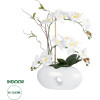GloboStar Artificial Garden White Orchid ������������ ���� ����� ������� �42cm - (21125)