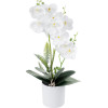 GloboStar Artificial Garden White Orchid ������������ ���� ����� ������� �45cm - (21076)