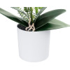 GloboStar Artificial Garden White Orchid ������������ ���� ����� ������� �45cm - (21076)