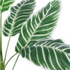 GloboStar Artificial Garden White Zebra ������� ������������ ���� ����� ����� �90cm - (20943)