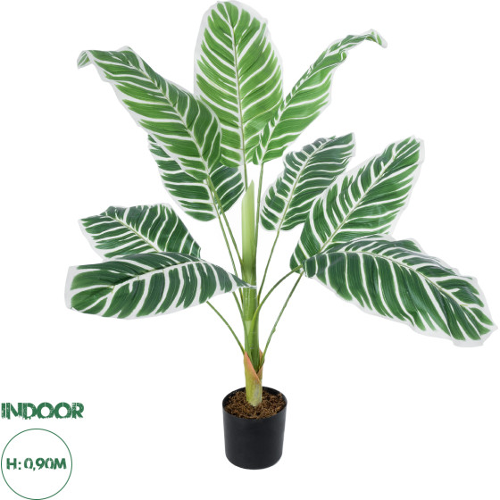 GloboStar Artificial Garden White Zebra ������� ������������ ���� ����� ����� �90cm - (20943)