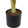 GloboStar Artificial Garden White Zebra ������� ������������ ���� ����� ����� �90cm - (20943)
