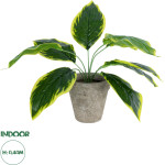 GloboStar Artificial Garden Yellow Hosta ������� ������������ ���� ������� ����� �40cm - (20899)