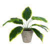 GloboStar Artificial Garden Yellow Hosta ������� ������������ ���� ������� ����� �40cm - (20899)