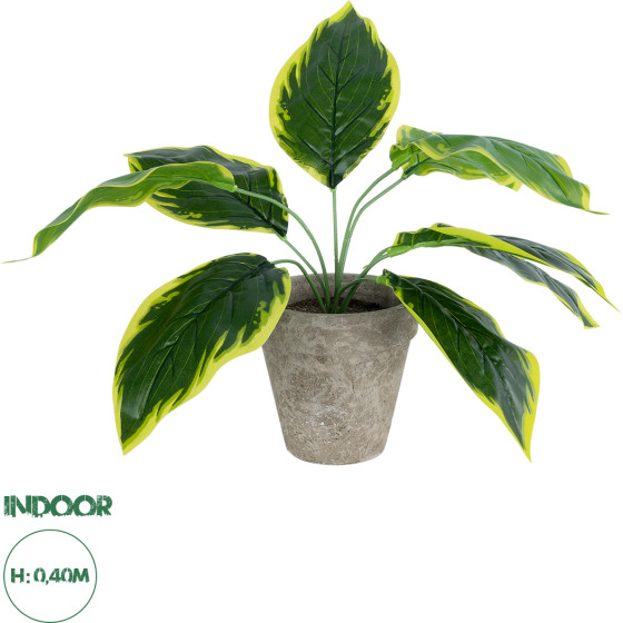 GloboStar Artificial Garden Yellow Hosta ������� ������������ ���� ������� ����� �40cm - (20899)