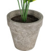 GloboStar Artificial Garden Yellow Hosta ������� ������������ ���� ������� ����� �40cm - (20899)