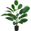 GloboStar Artificial Garden Young Banana ������������ ���� ����� �������� �80cm - (20916)